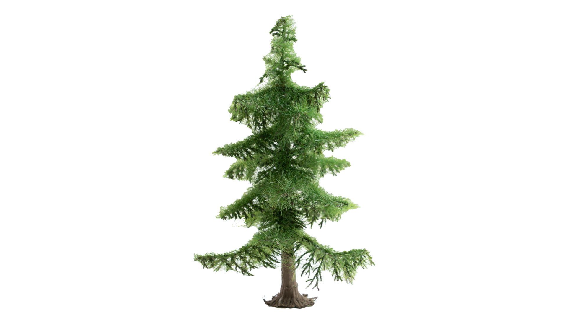 NOCH Modelleisenbahn-Baum Nordmanntanne, realistischer Weihnachtsbaum, 12 cm