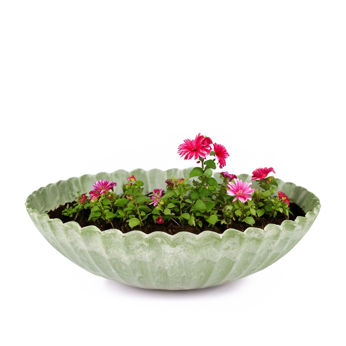 matches21 HOME & HOBBY Blumentopf Pflanzschale günstig online kaufen