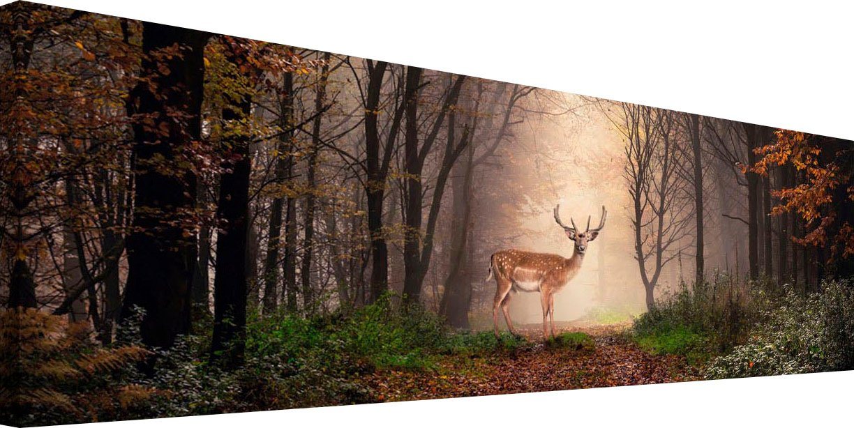 Reinders! Holzbild »Deco Block 40x118 Majestic Deer«-kaufen