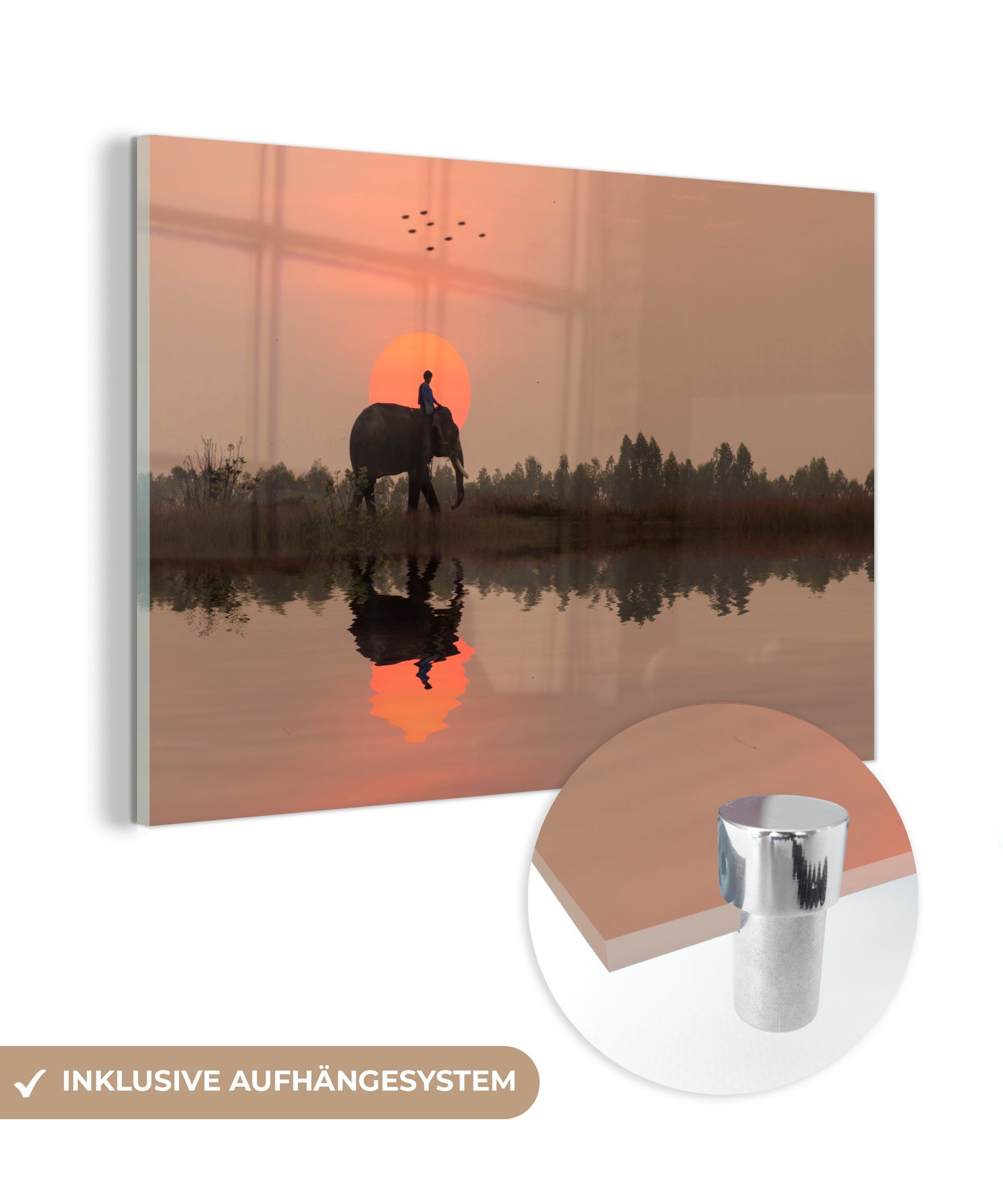 MuchoWow Acrylglasbild Ein Elefant in einem Reisfeld bei Sonnenuntergang in Thailand, (1 St), Acrylglasbilder Wohnzimmer & Schlafzimmer | Bilder