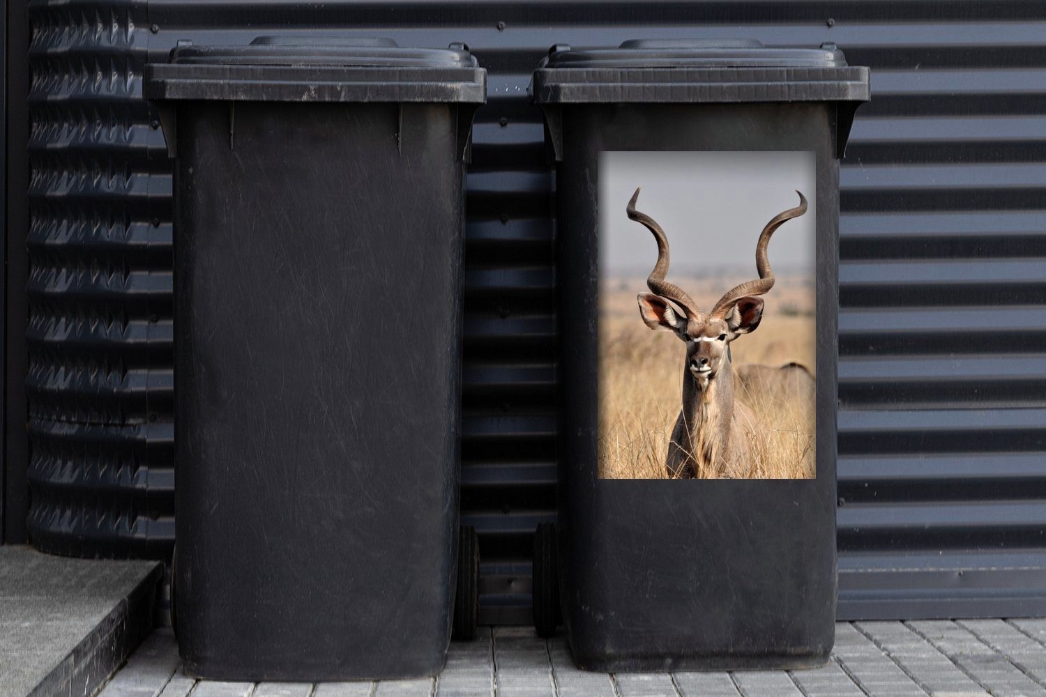 MuchoWow Wandsticker Großer Kudu im Gras St), Abfalbehälter Container, Mülleimer-aufkleber, hohen (1 Sticker, Mülltonne