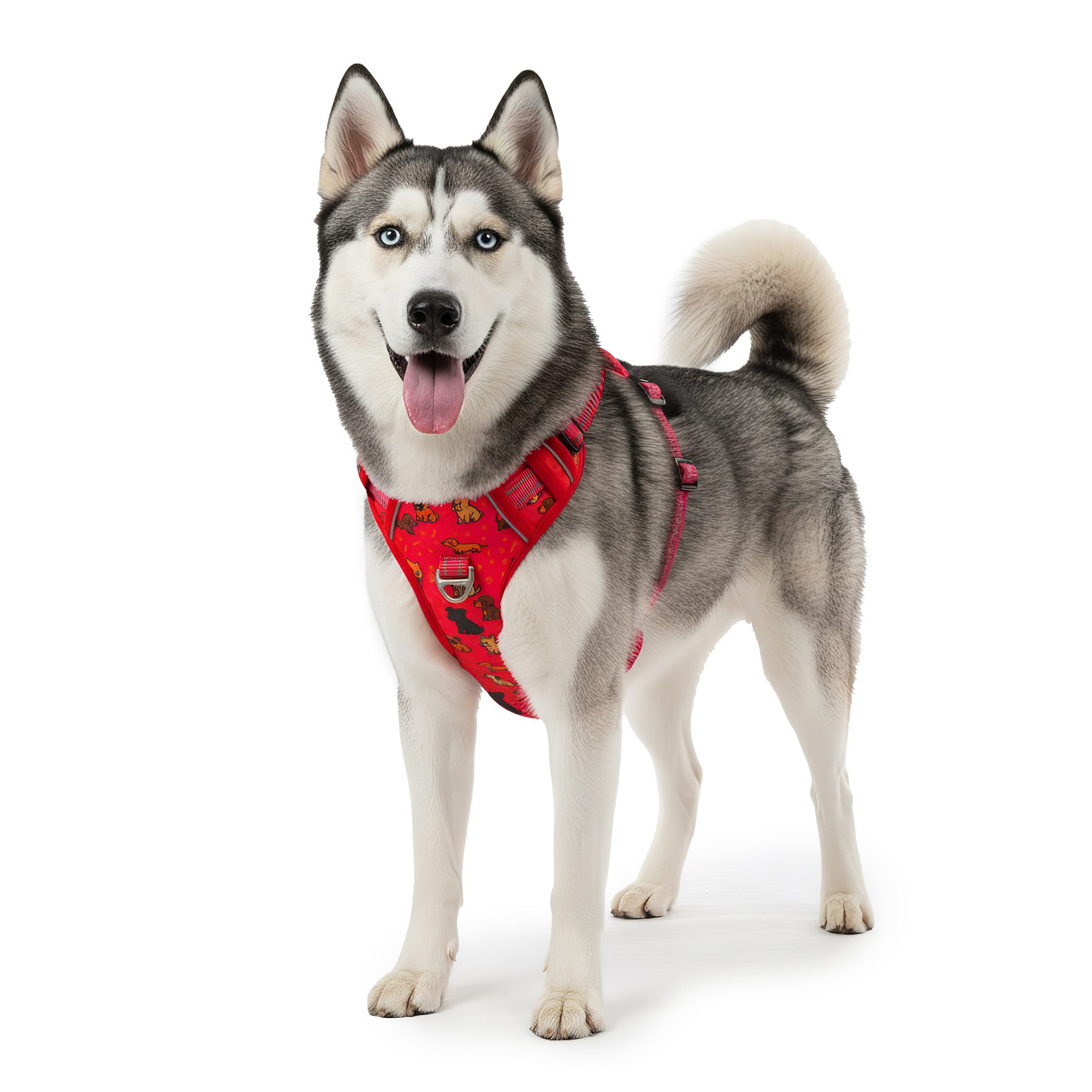 Reichstadt Hunde-Geschirr RS Pets Norwegergeschirr 25RSP083, Polyester, atmungsaktives Netzgewebe und robuster Oxford-Stoff