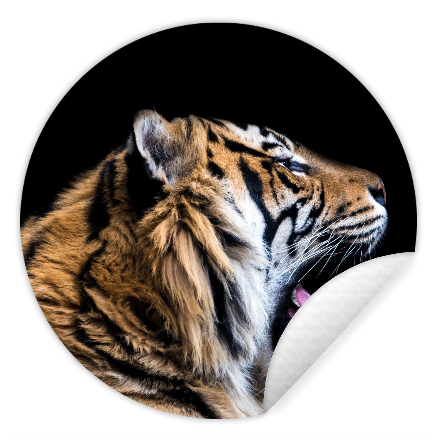 MuchoWow Wandsticker Tiger - Tiere - Porträt (1 St), Tapetenkreis für Kinderzimmer, Tapetenaufkleber, Rund, Wohnzimmer