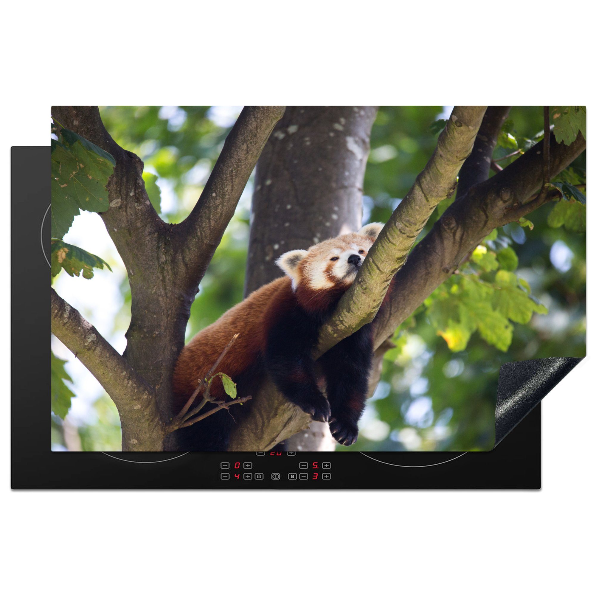 MuchoWow Herdblende-/Abdeckplatte Panda - Rot - Holz, Vinyl, (1 tlg), 81x52 cm, Induktionskochfeld Schutz für die küche, Ceranfeldabdeckung