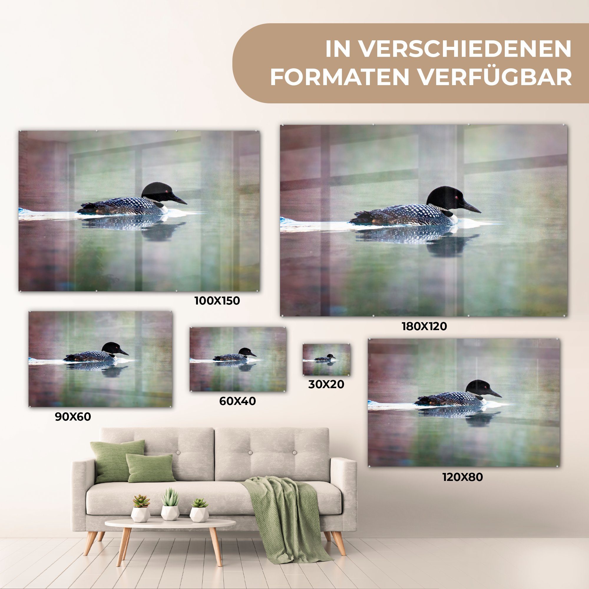 Acrylglasbilder auf (1 & Acrylglasbild St), MuchoWow Wohnzimmer Wasser, spiegelndem Schlafzimmer Arktis-Taucher