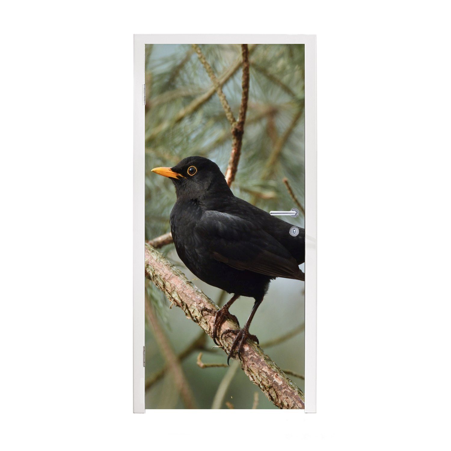 MuchoWow Türtapete Vogel - Amsel - Zweige - Tiere, Matt, bedruckt, (1 St), Fototapete für Tür, Türaufkleber, 75x205 cm | Türtapeten