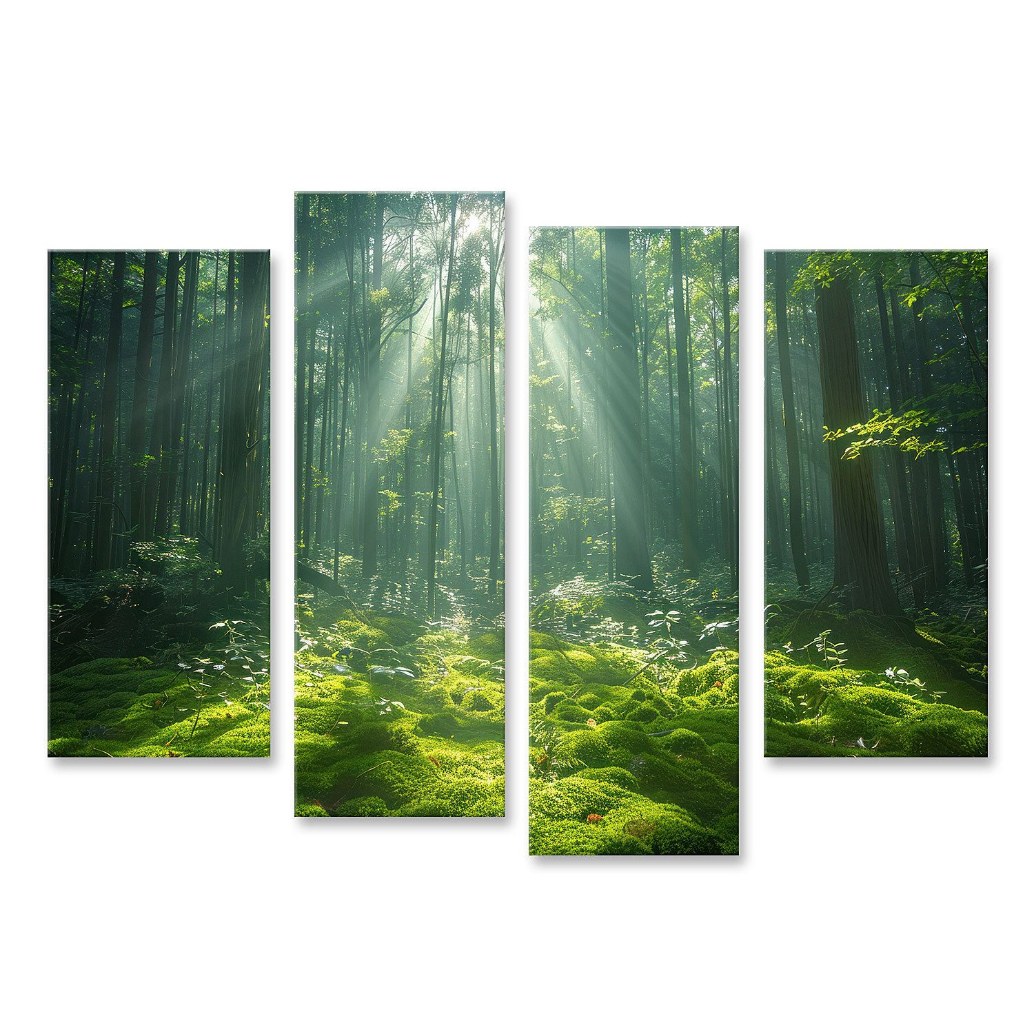 islandburner Leinwandbild Smaragdblätter filtern sanft Sonnenstrahlen, tupfen den Waldteppich za