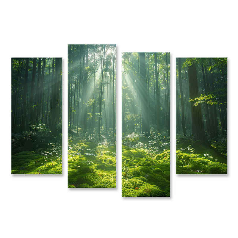 islandburner Leinwandbild Smaragdblätter filtern sanft Sonnenstrahlen, tupfen den Waldteppich za