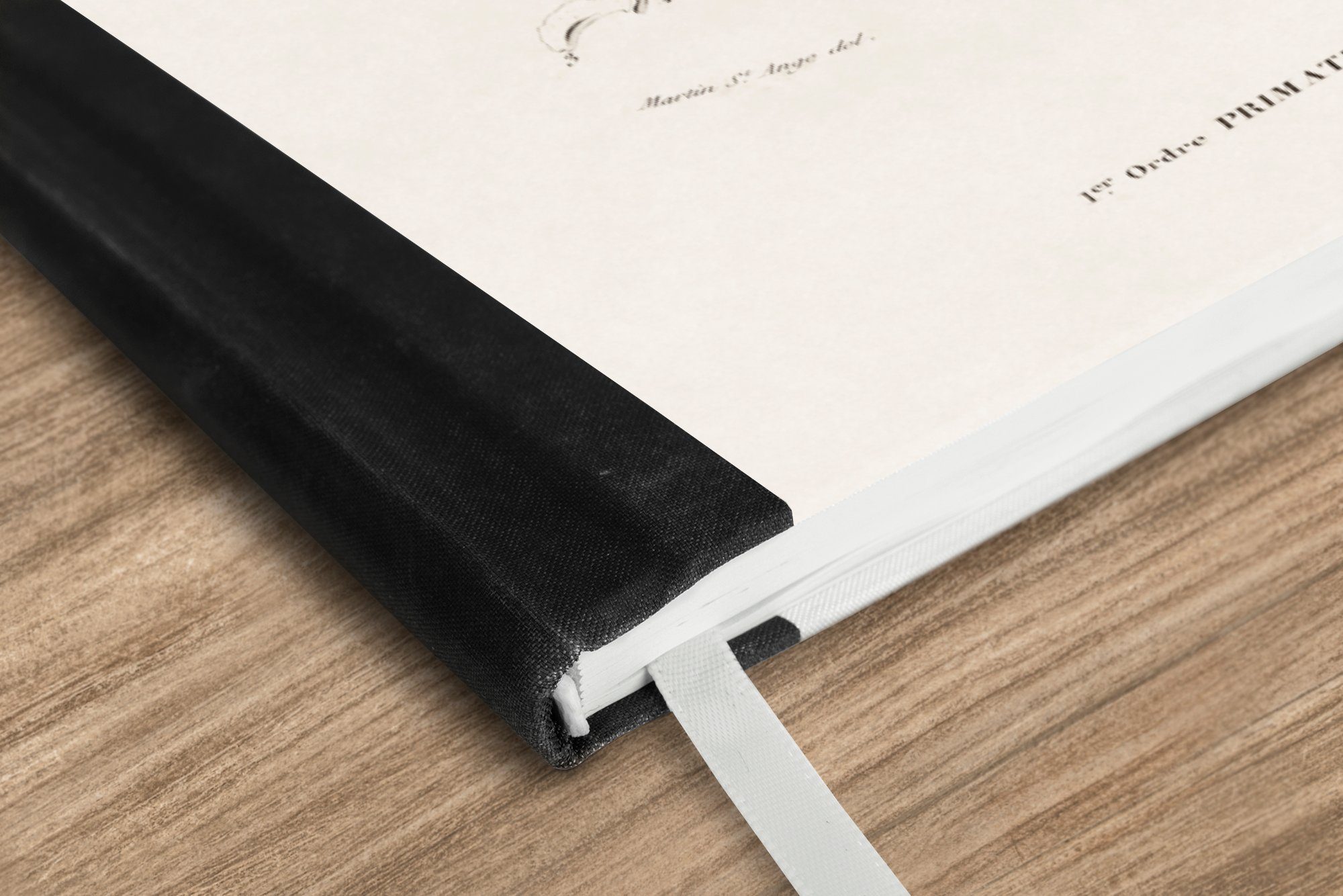 Thumbnail - MuchoWow Notizbuch Skelett - Jahrgang - Knochen, Notebook, Notizblock a5, Tagebuch, Journal Liniert