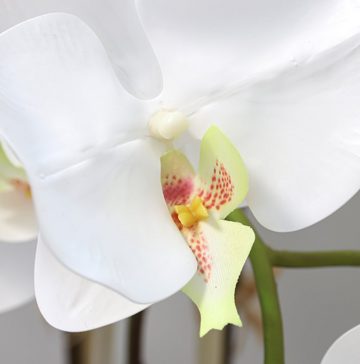 Kunstorchidee Orchidee Kunstblumen Kunstpflanzen Orchideentopf 766 Orchidee, PassionMade, Höhe 75 cm, Künstliche Orchideen im Topf wie echt