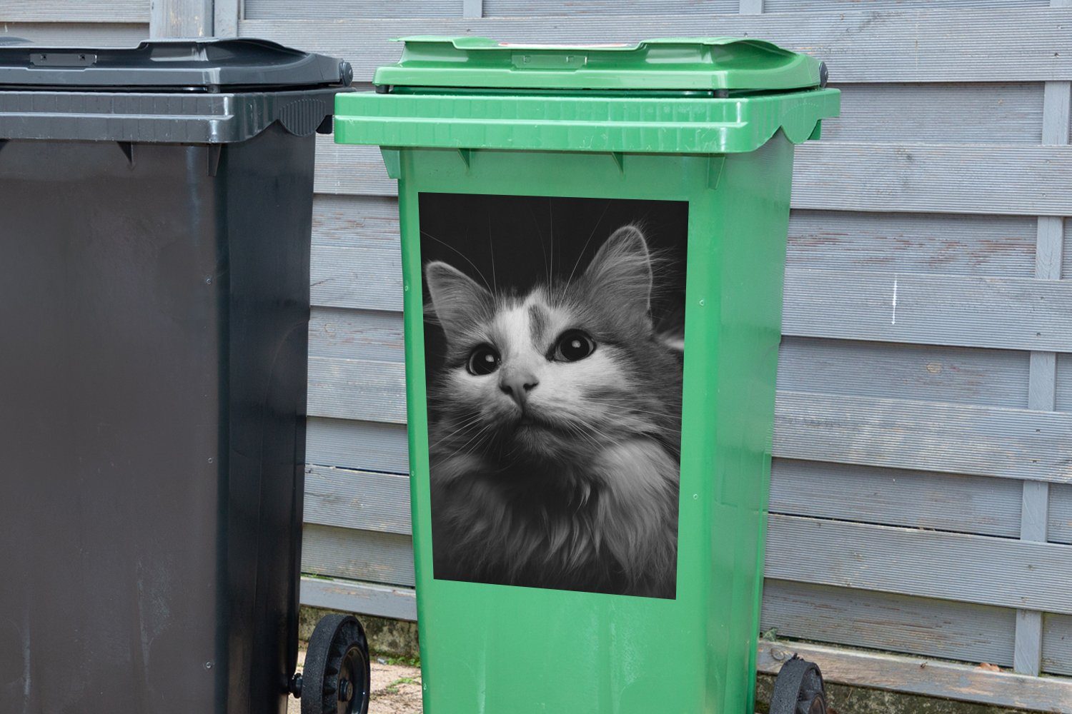 MuchoWow Wandsticker Tierprofil Katze in Sticker, St), schwarz Mülltonne, Container, (1 Abfalbehälter weiß und Mülleimer-aufkleber