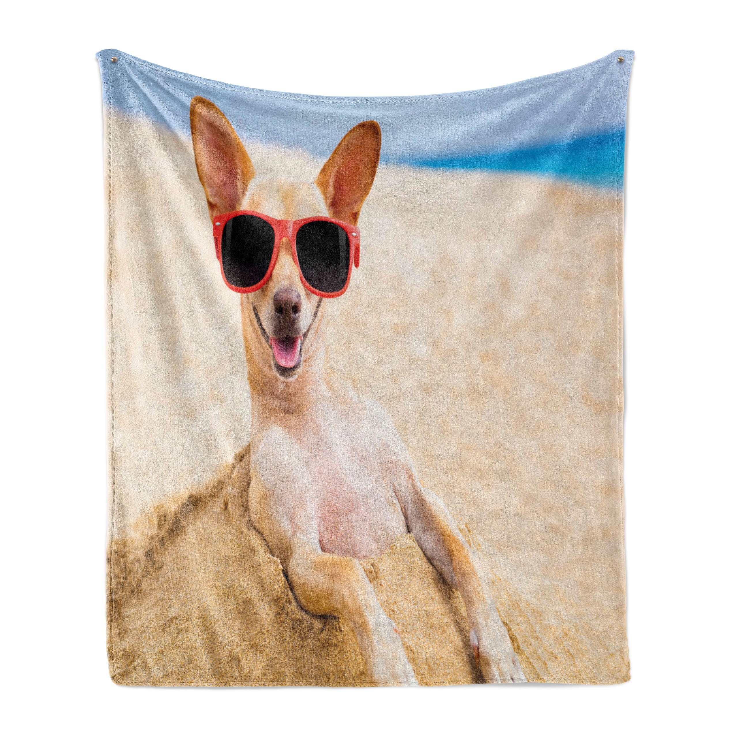 Wohndecke Gemütlicher Plüsch für den Innen- und Außenbereich, Abakuhaus, Chihuahua Cool Dog bei Sandy Beach