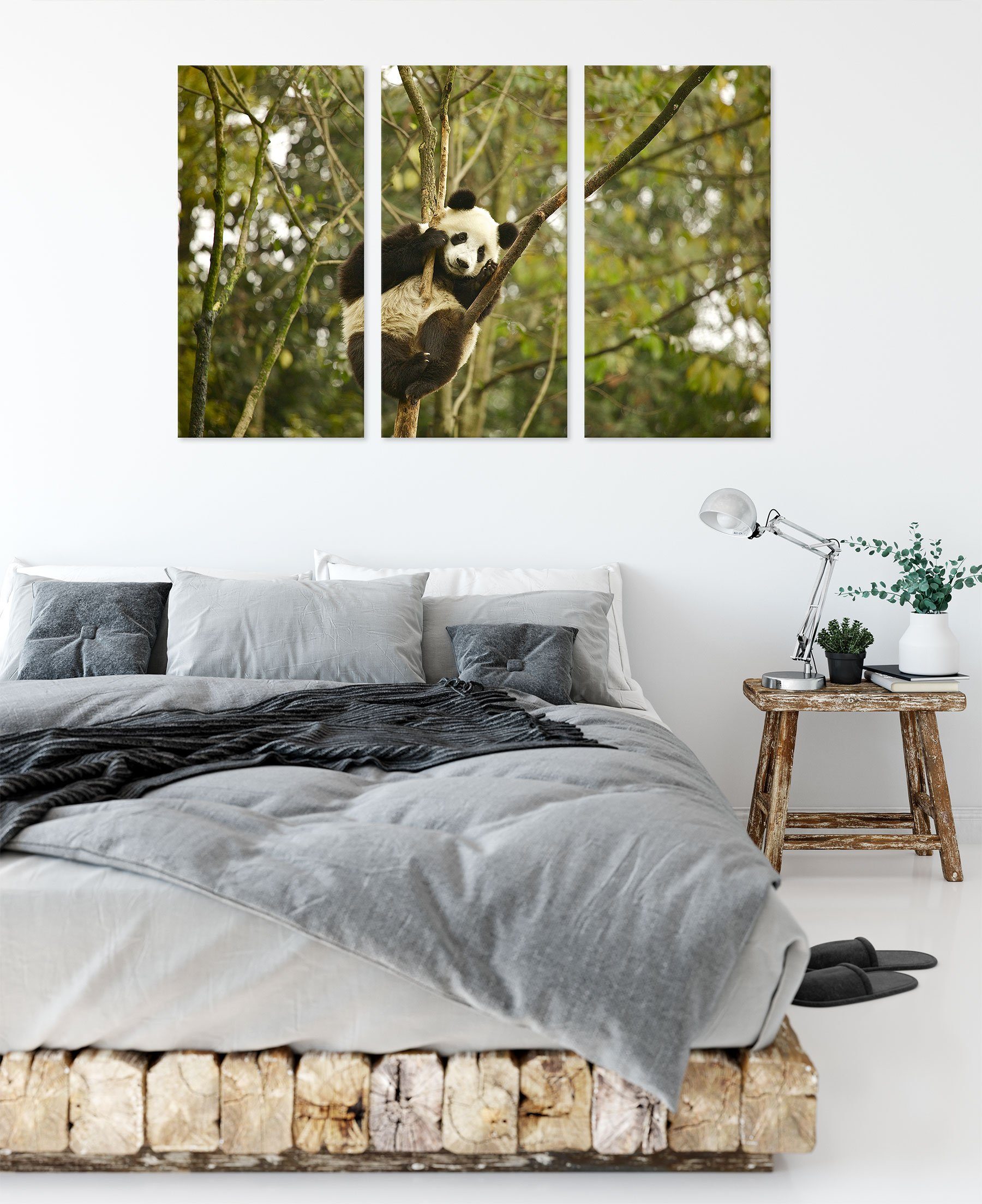 St), Leinwandbild Pandabär auf Baum niedlicher 3Teiler (1 Zackenaufhänger Baum, (120x80cm) bespannt, Leinwandbild fertig auf inkl. Pandabär Pixxprint niedlicher