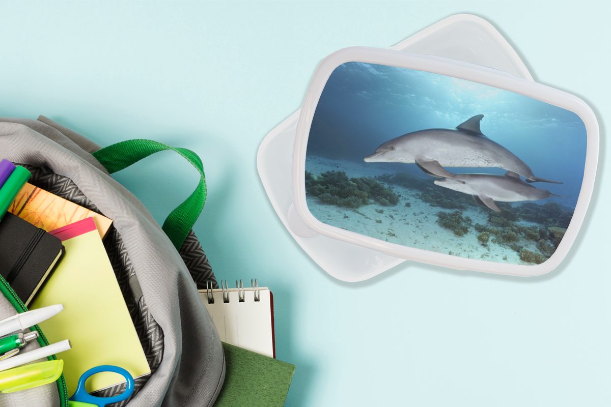 und Kunststoff, für weiß Lunchbox Kalb Kinder Erwachsene, - Jungs - und Brotbox (2-tlg), Mädchen Delfin Brotdose, MuchoWow Meer, für