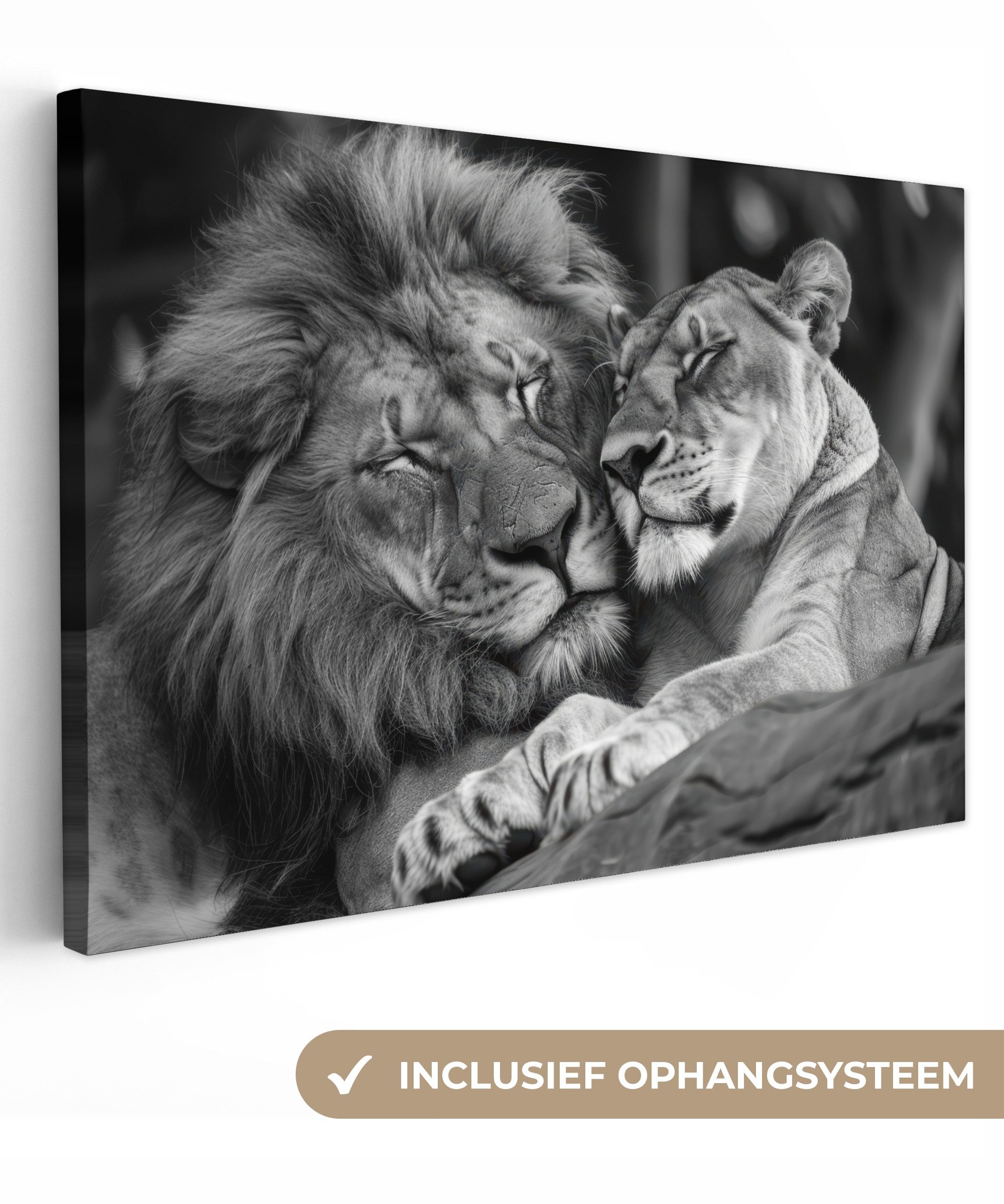 OneMillionCanvasses® Leinwandbild Löwen - Tiere - Schwarz - Weiß - Löwe, Fotodruck (1 St), Leinwand Bilder Klein, Wand Dekoration Aesthetic 30x20 cm