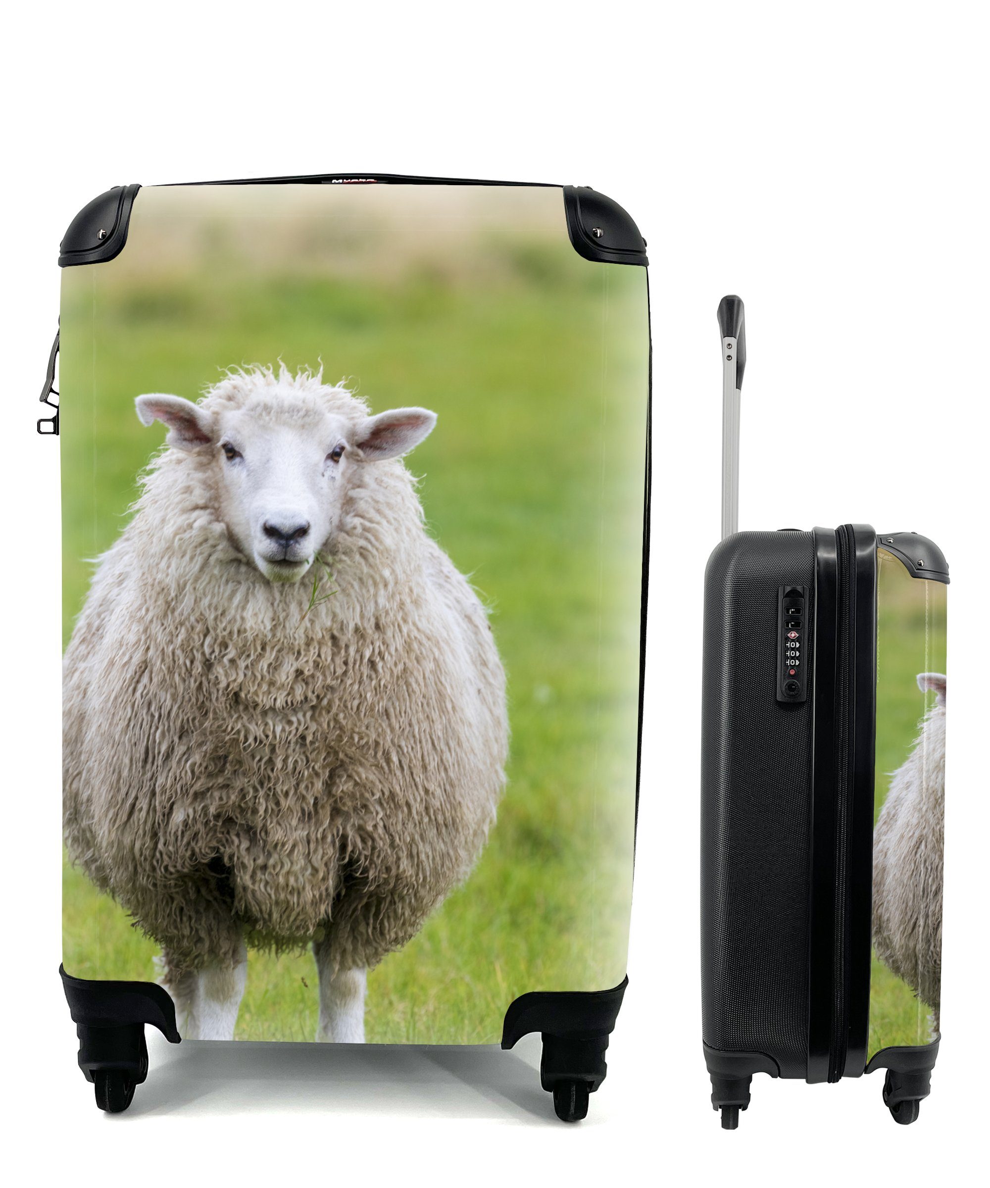 MuchoWow Handgepäckkoffer Schafe - Gras Ferien, Handgepäck 4 rollen, Nutztier, Trolley, für Reisekoffer Rollen, mit Reisetasche 