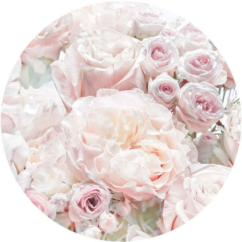 Komar Fototapete Pink and Cream Roses, (1 St), 125x125 cm (Breite x Höhe), rund und selbstklebend