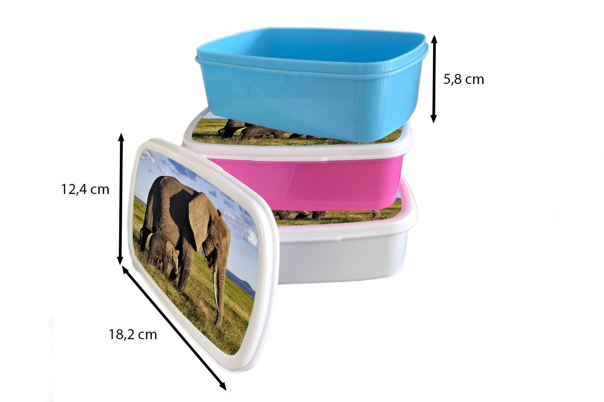 Brotbox und Grasland - für Tiere Brotdose, Erwachsene, Grün MuchoWow weiß Lunchbox (2-tlg), Grau, - Kinder und - Mädchen - Kunststoff, Elefant für Jungs