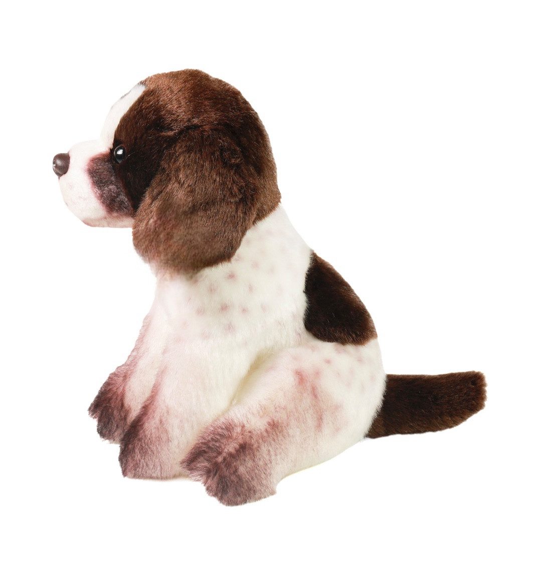 Teddys Rothenburg Kuscheltier Jagdhund sitzend braun/weiß 24 cm Plüschhund Stofftier (Plüschtier, Stoffhund, Stoffjadghund, Plüschjagdhund)