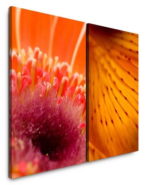 Sinus Art Leinwandbild 2 Bilder je 60x90cm Blumen Blüten Rot Orange Sommer Dekorativ Makrofotografie