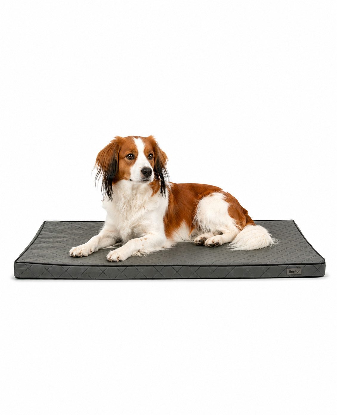 lionto Tierkissen orthopädisch, druckentlastend, Lederimitat, Memory-Foam-Liegefläche, rutschfeste Unterseite & abnehmbarer Bezug