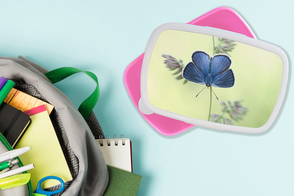 MuchoWow Lunchbox Blauer Schmetterling, Kunststoff, Mädchen, Erwachsene, Brotbox Kunststoff rosa (2-tlg), für Brotdose Kinder, Snackbox