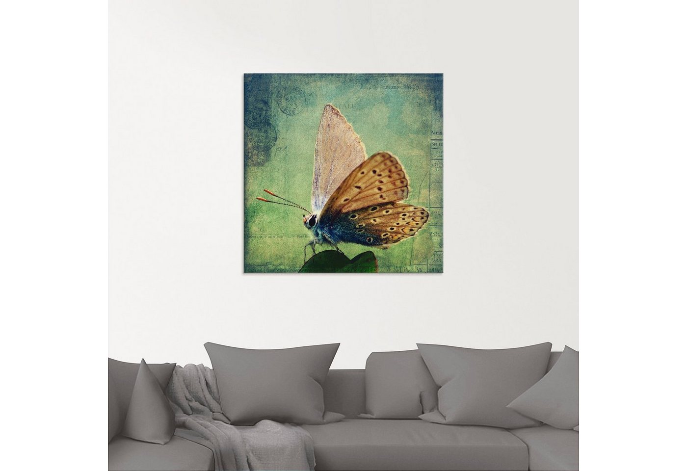 Artland Glasbild »Kleiner Schmetterling«, Insekten (1 Stück)-HomeTrends