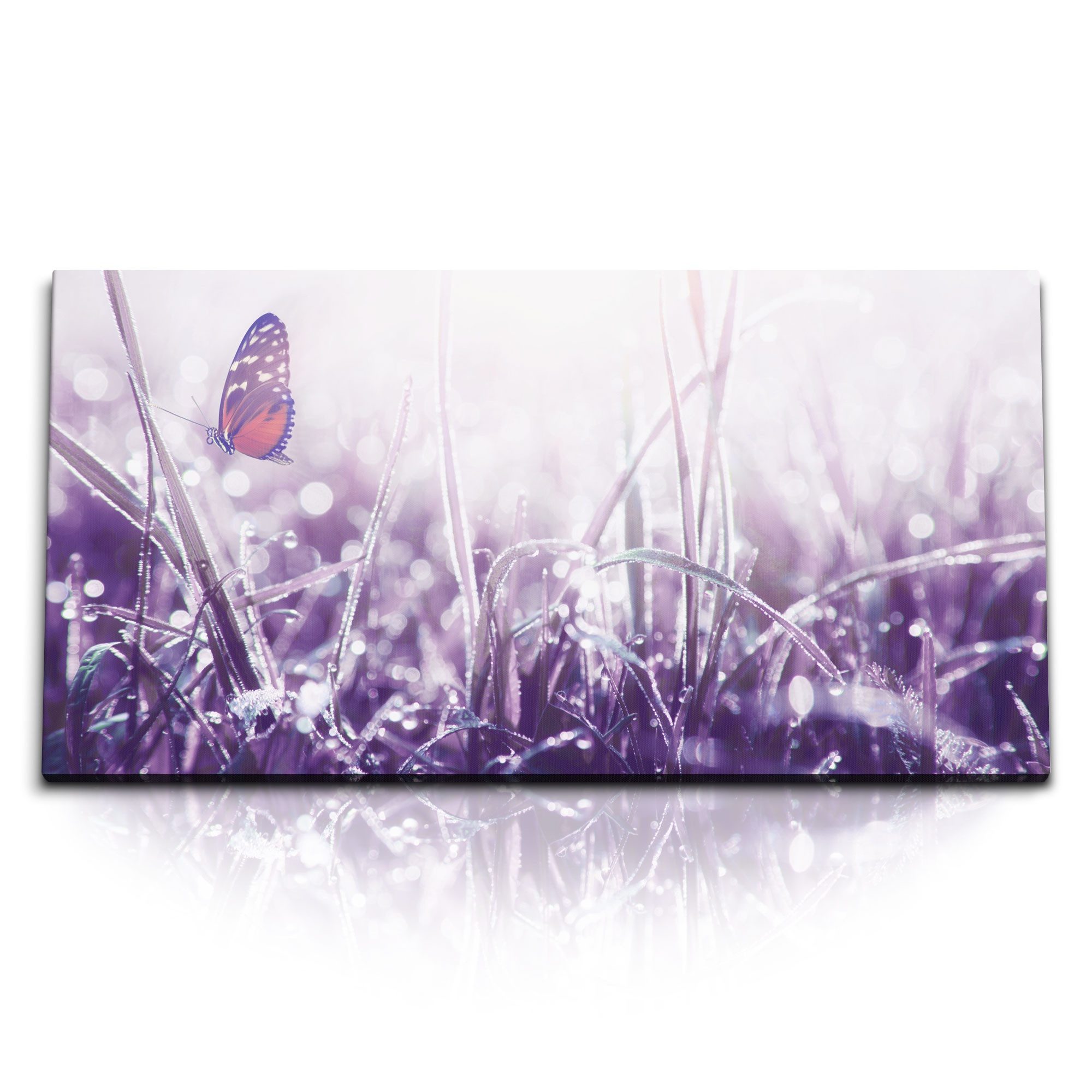 Leinwandbild Kunstdruck Bilder 120x60cm Wiese Morgentau Schmetterling Natur Fotokun