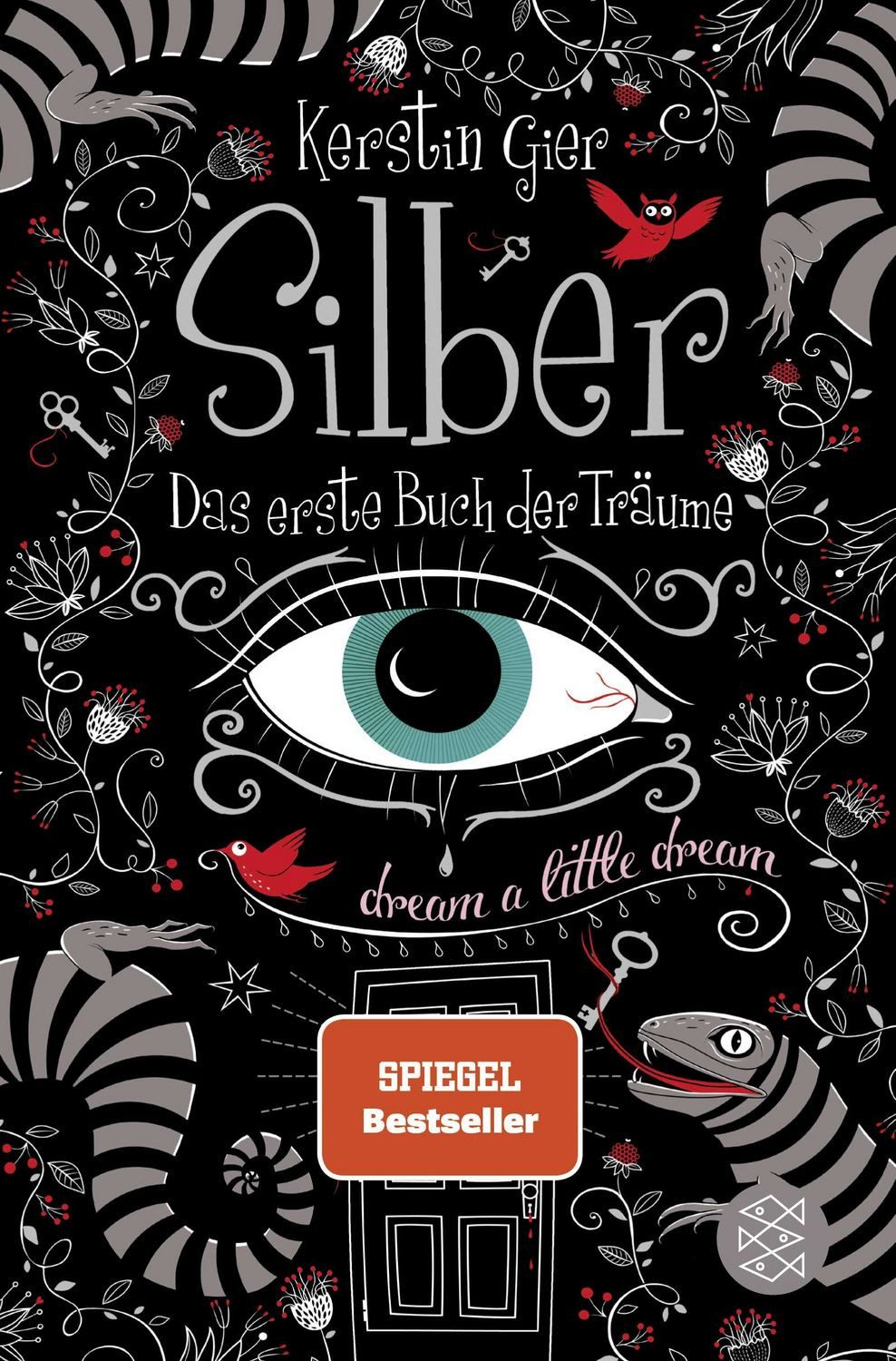 Silber - Das erste Buch der Träume / Kerstin Gier, Roman