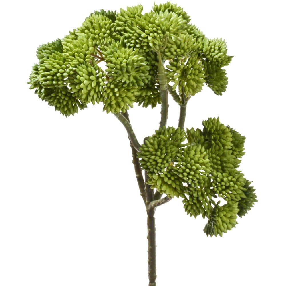 Kunstblume Fetthenne Kunstpflanze Dekopflanze 1 Stk 30 cm grün Fetthenne, matches21 HOME & HOBBY, Höhe 30 cm, Indoor