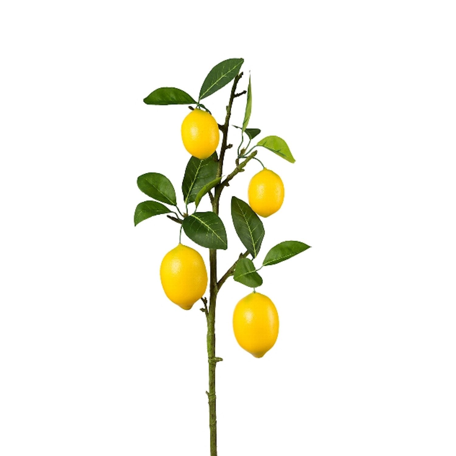Kunstblume Früchtezweig, Gasper, Höhe 68 cm günstig online kaufen