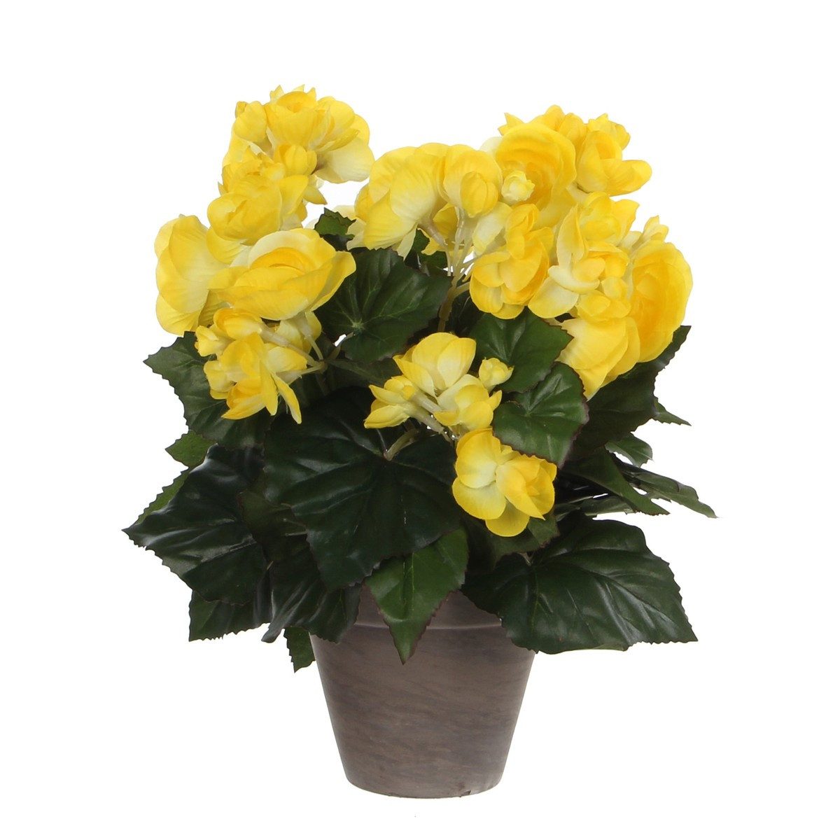 Kunstpflanze Mica Decorations Begonia gelb in Topf Stan grau d11,5cm - h30xd25cm, Mica Decorations, Höhe 30 cm