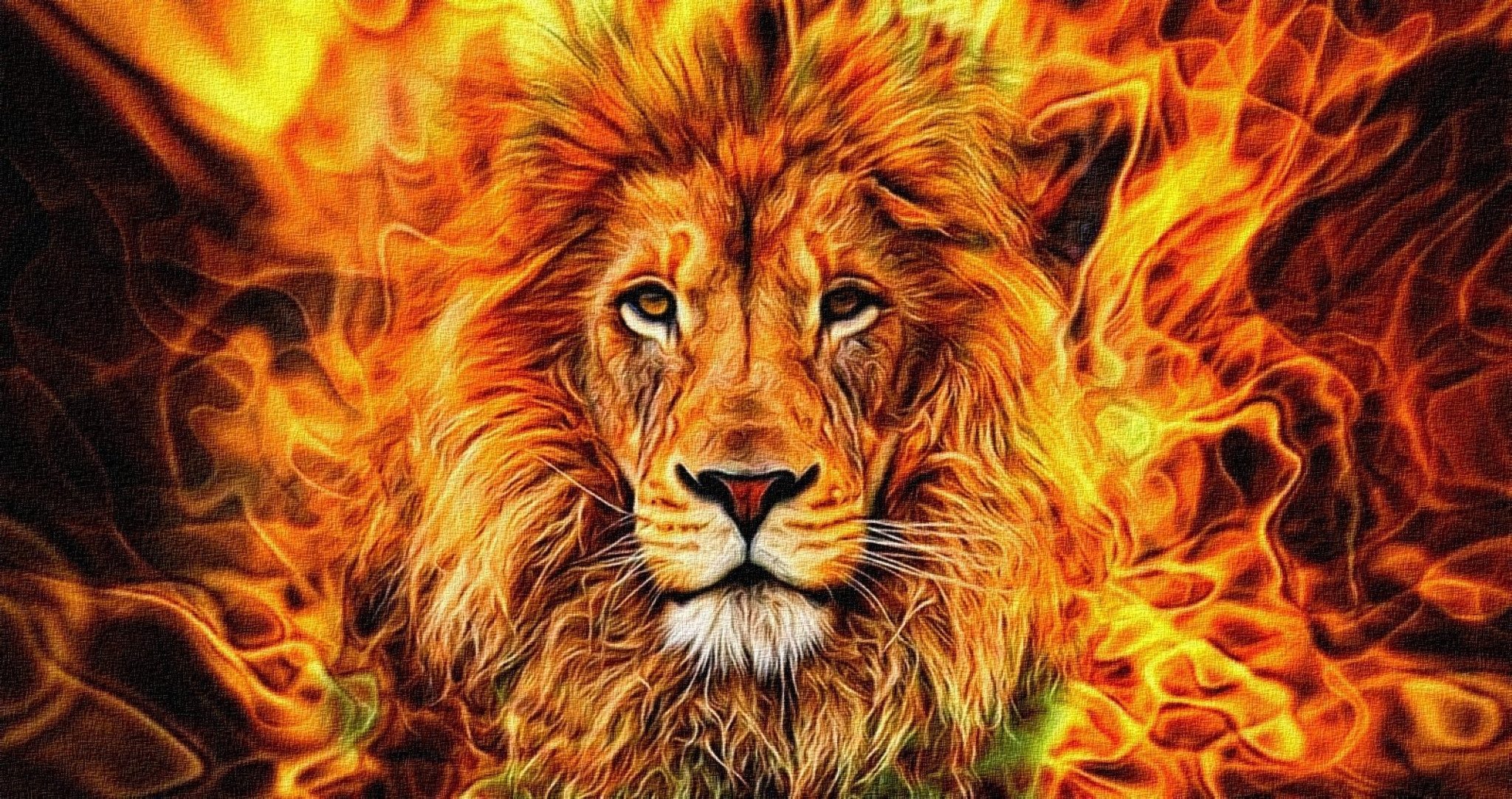 LaCute Malen nach Zahlen XL 5d Diamond Painting Feuer Löwe Malen nach Zahlen 50x65cm (Komplettset für 5D Diamond Painting inklusive Leinwand, Diamanten und Werkzeugen, Diamond Painting Set mit Zubehör für DIY-Kreativität und Entspannung), 50x65cm 5D Diamond Painting mit präziser Klebeschicht & Zubehör