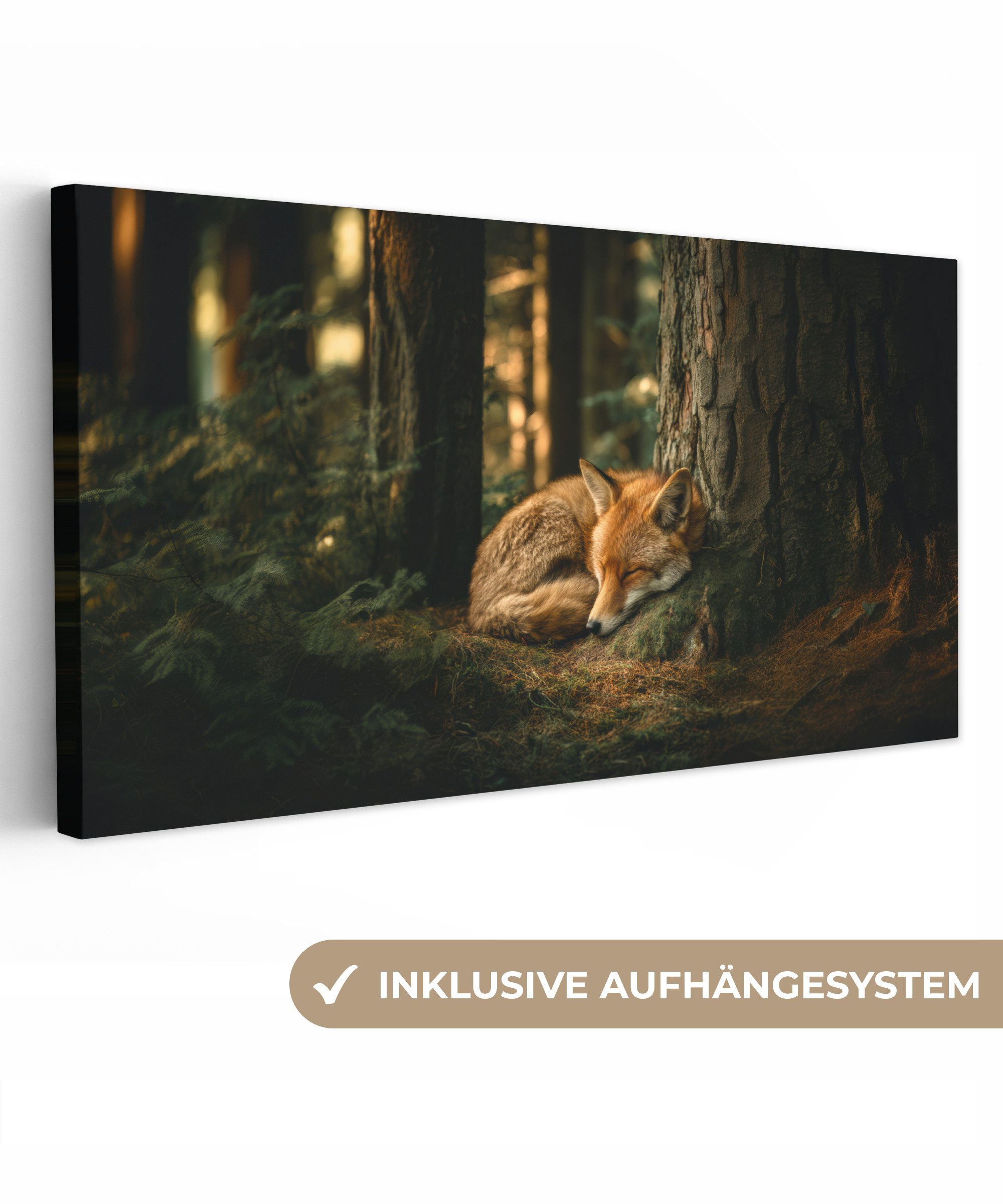 OneMillionCanvasses® Leinwandbild Panorama Fuchs - Wald - Schlaf, Fotodruck günstig online kaufen
