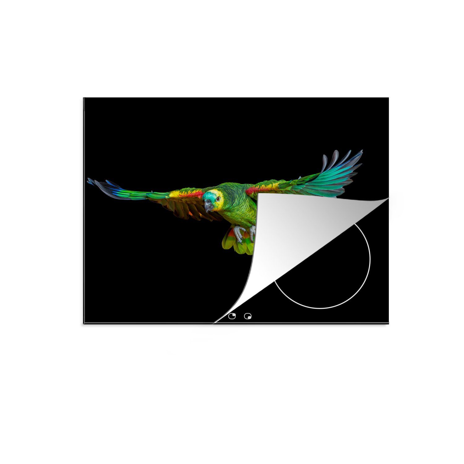 MuchoWow Herdblende-/Abdeckplatte Papagei - Vogel - Federn, Vinyl, (1 tlg), 71x52 cm, Induktionskochfeld Schutz für die küche, Ceranfeldabdeckung