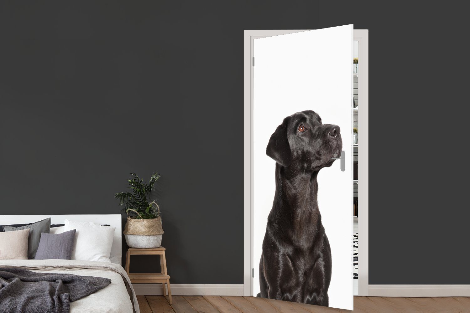 MuchoWow Türtapete Hunde schauen auf, (1 St), Tür, Fototapete Türaufkleber, Matt, bedruckt, cm für 75x205