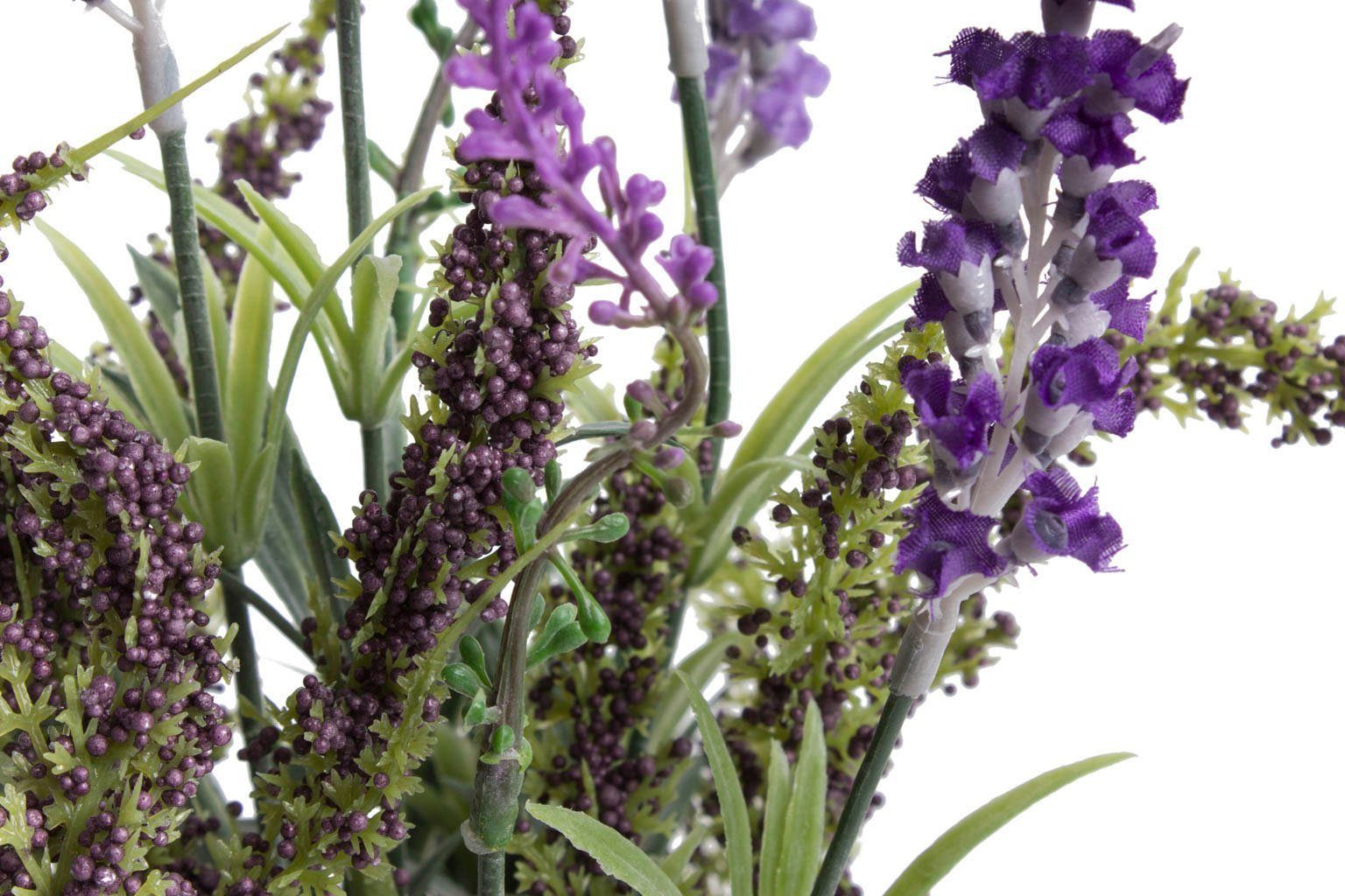 Künstliche Zimmerpflanze Lavendel Höhe 30 cm Botanic-Haus, - Arrangement Korb, im Erika
