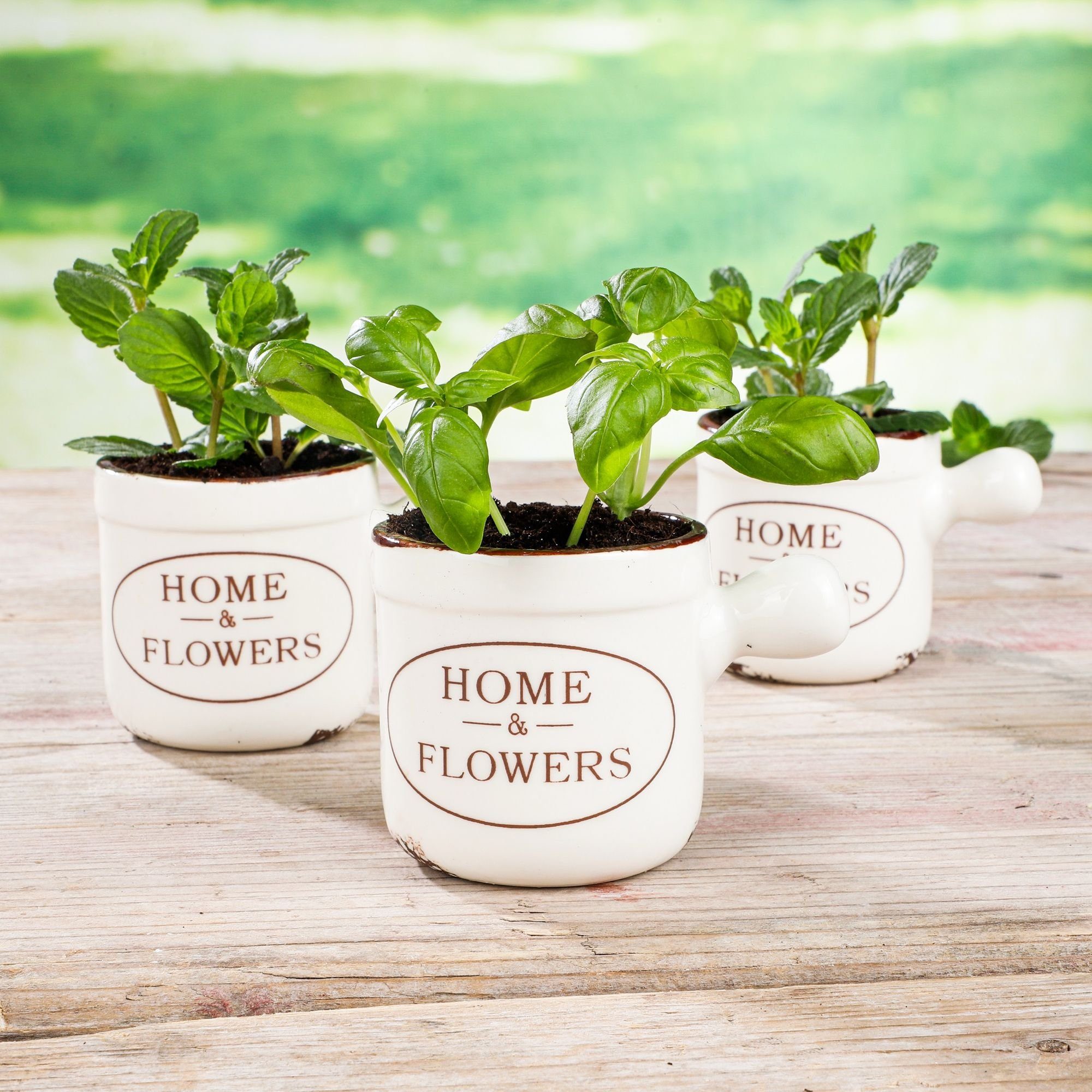 GartenHero Kräutertopf »Drei Kräutertöpfe Keramik Küche Kräuter