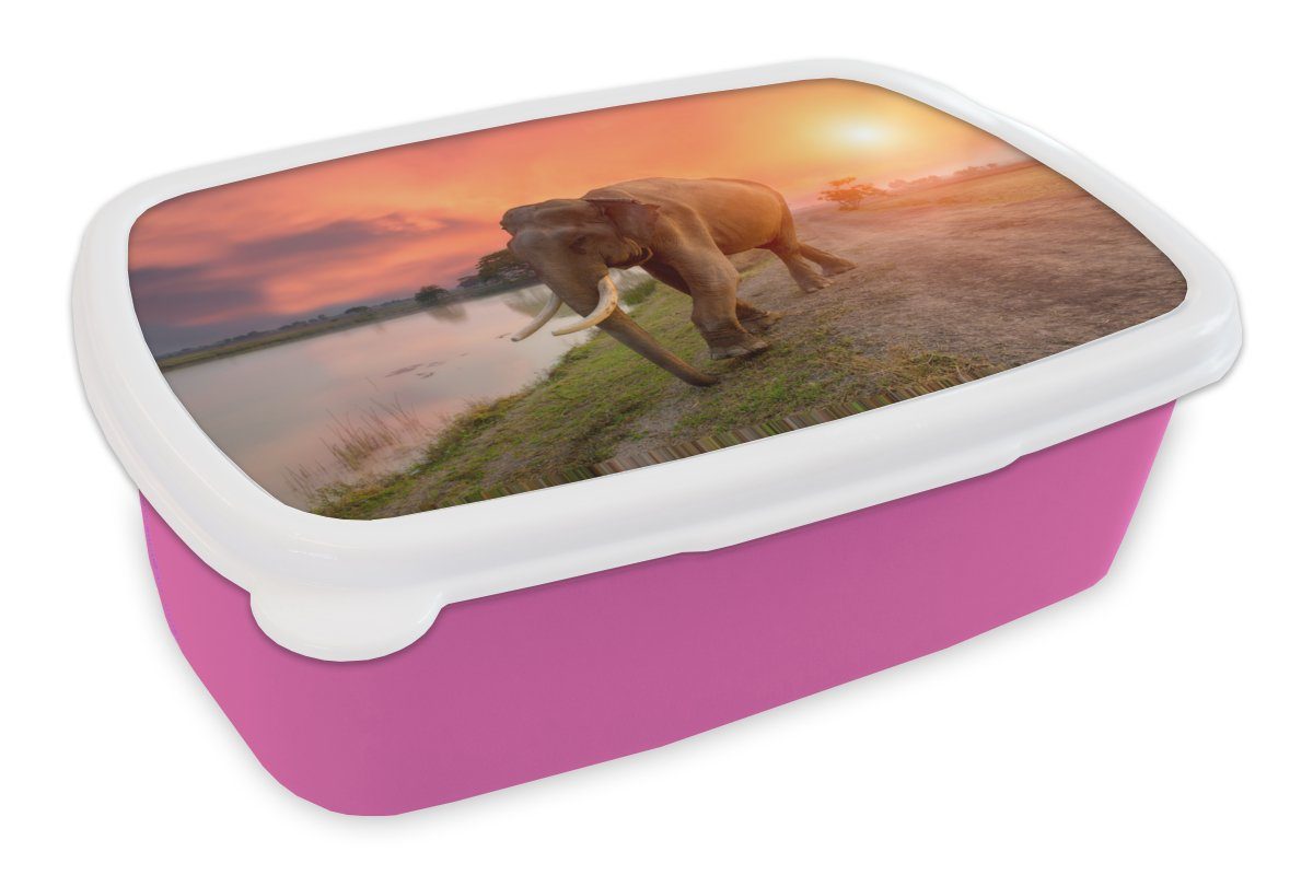 MuchoWow Lunchbox Elefant - Wasser - Tiere - Sonnenuntergang - Natur, Kunststoff, (2-tlg), Brotbox für Erwachsene, Brotdose Kinder, Snackbox, Mädchen, Kunststoff rosa