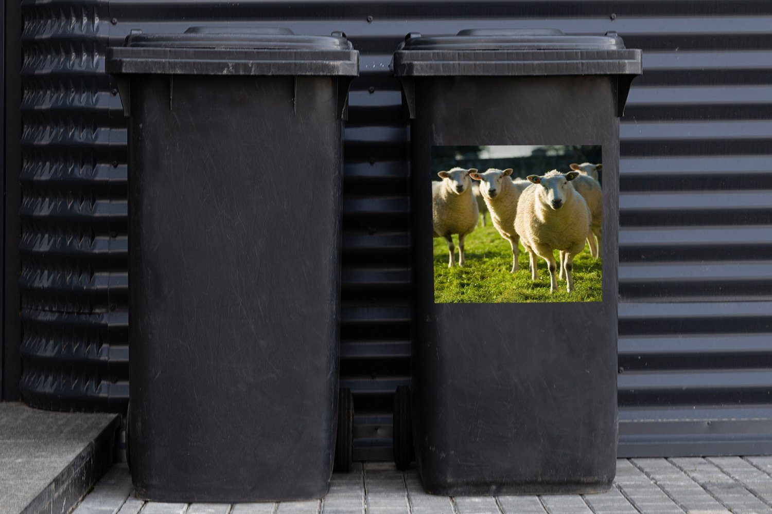 Mülltonne, Wolle Schafe St), - (1 Wandsticker Sticker, - MuchoWow Abfalbehälter Tiere Container, Mülleimer-aufkleber,
