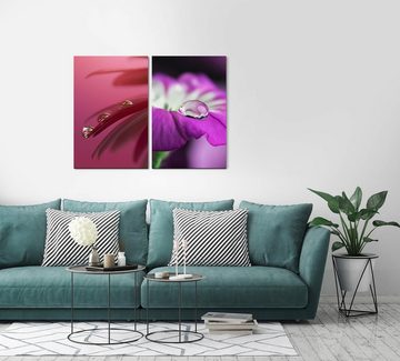 Sinus Art Leinwandbild 2 Bilder je 60x90cm Blüten sanfte Blumen Wassertropfen Beruhigend Sanft Zart Makrofotografie