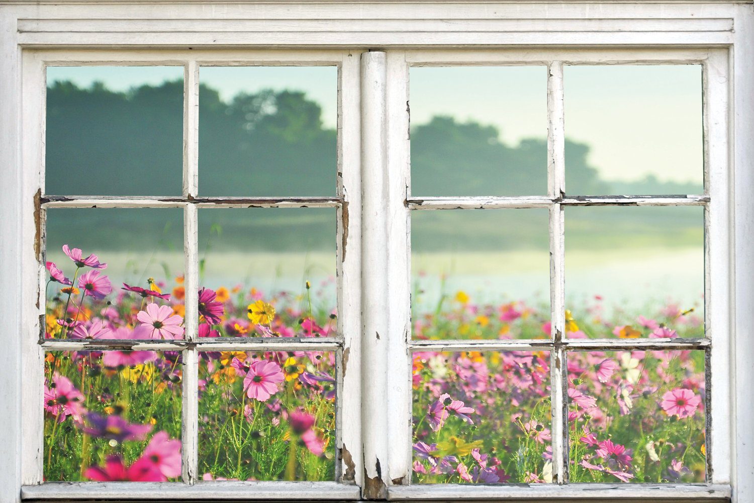 Leinwandbild Blumenwiese