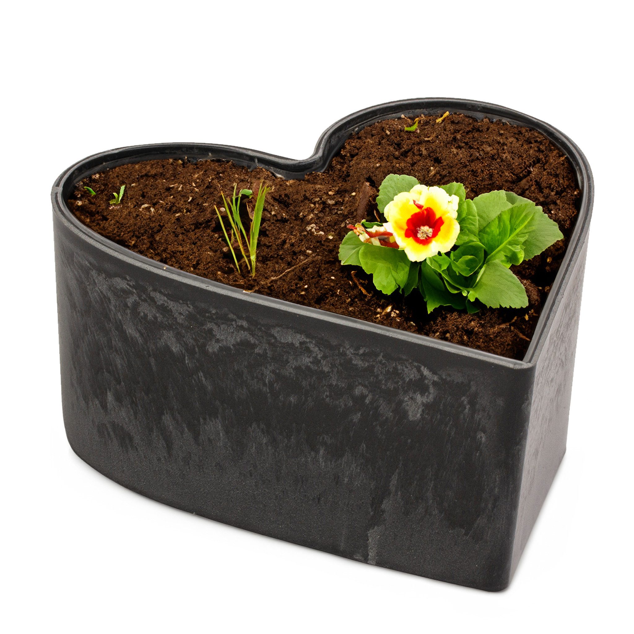 matches21 HOME & HOBBY Blumentopf Herz Pflanzschale für draussen marmoriert Dekoschale schwarz 15 cm (1 St), Blumen-Schale als wetterfeste Friedhof-Schale Grab-Schmuck Grabschale
