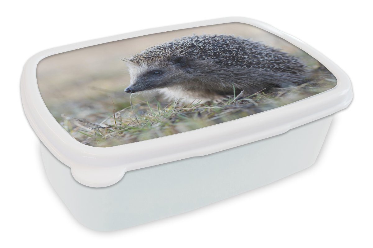 MuchoWow Lunchbox Igel - Tier - Gras, Kunststoff, (2-tlg), Brotbox für Kinder und Erwachsene, Brotdose, für Jungs und Mädchen weiß