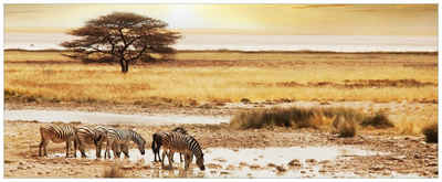 Wallario Glasbild, Safari in Afrika eine Herde Zebras am Wasser, in verschiedenen Ausführungen