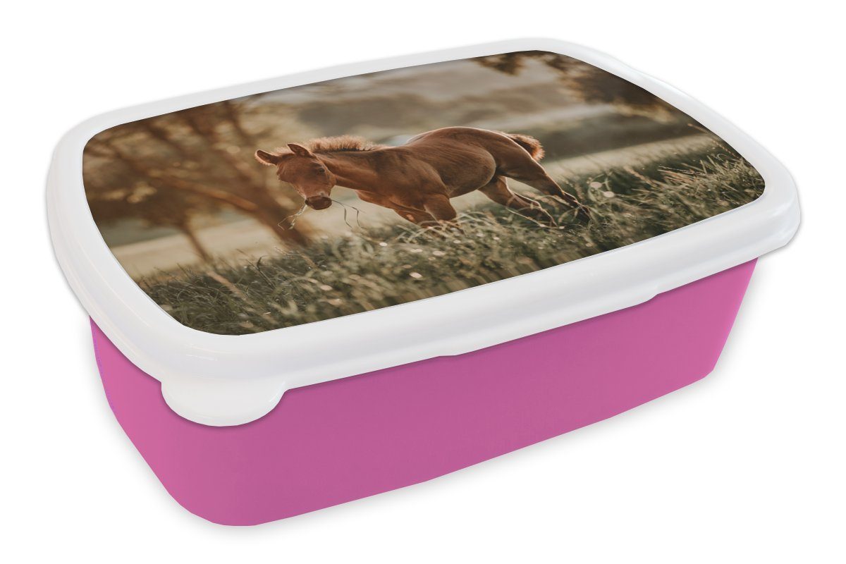 MuchoWow Lunchbox Wiese, Kunststoff Erwachsene, - Mädchen, (2-tlg), Snackbox, Licht Pferd für rosa Brotbox Brotdose Kunststoff, Kinder, 
