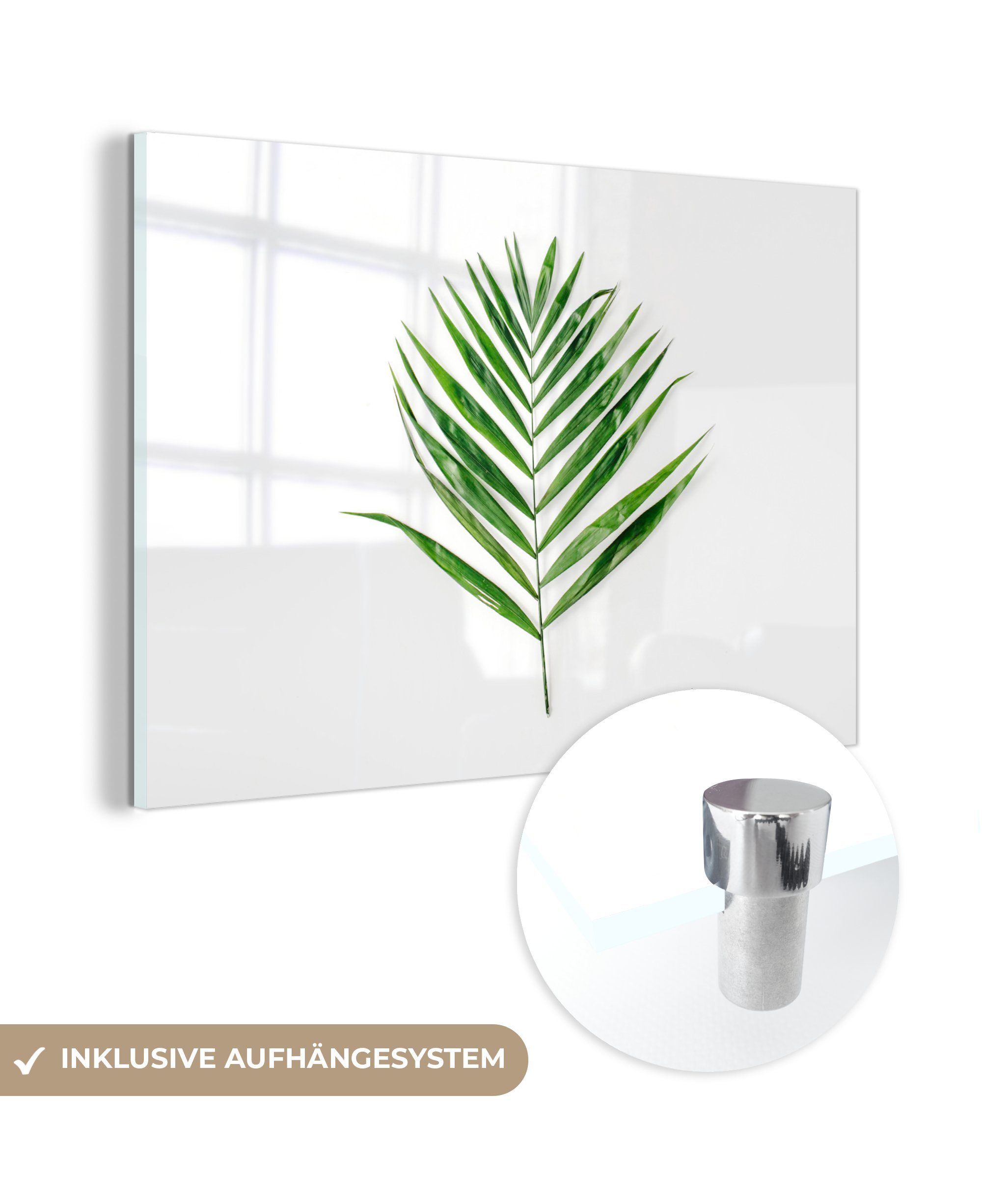 MuchoWow Acrylglasbild Grün - Blatt - Tropisch, (1 St), Acrylglasbilder Wohnzimmer & Schlafzimmer