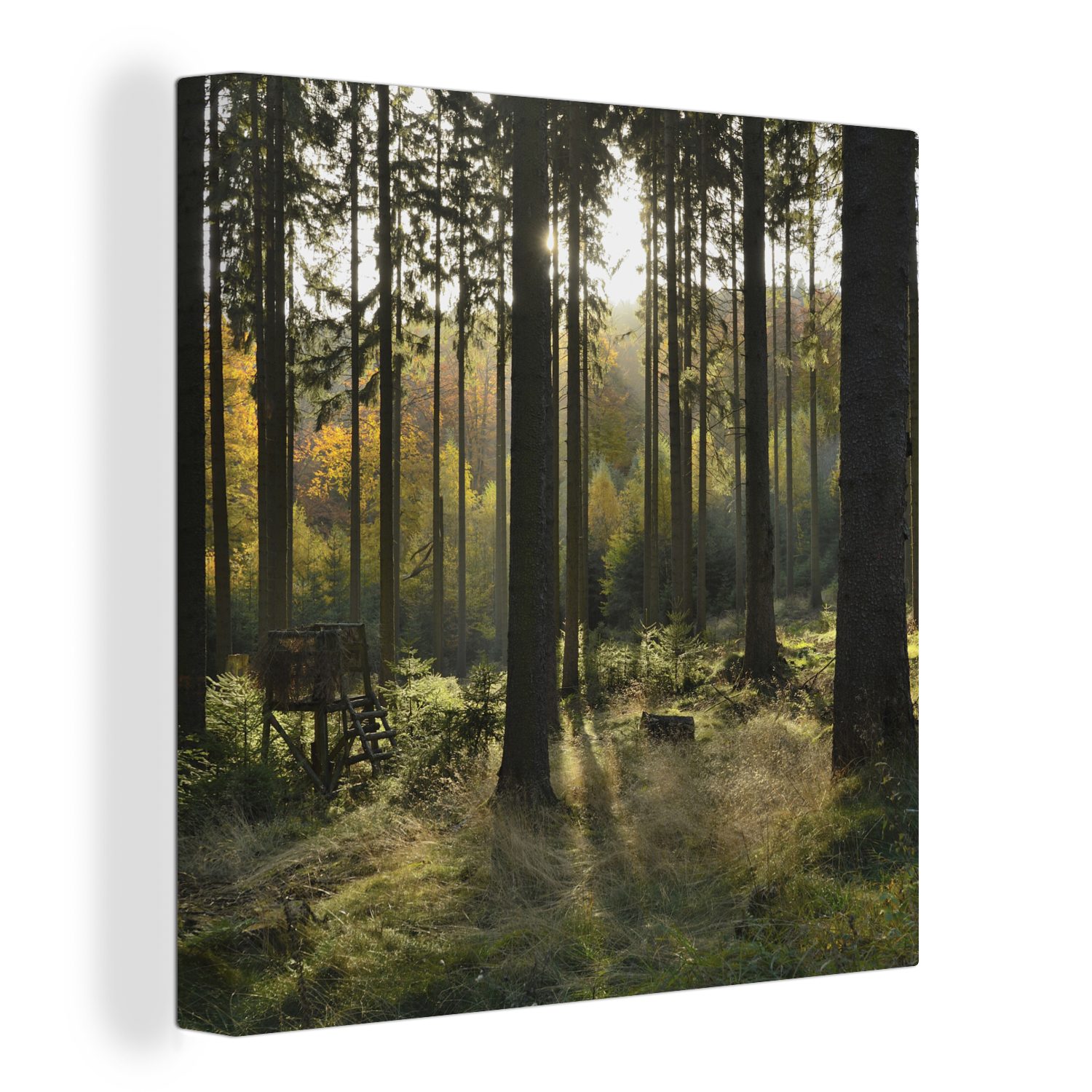 OneMillionCanvasses® Leinwandbild Wald - Sommer - Sonne, (1 St), Leinwand Bilder für Wohnzimmer Schlafzimmer bunt