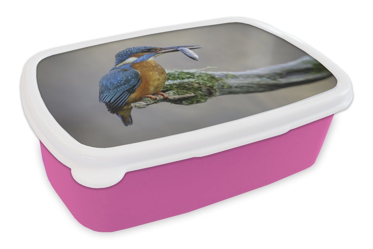 MuchoWow Lunchbox Eisvogel - Fisch - Tier, Kunststoff, (2-tlg), Brotbox für Erwachsene, Brotdose Kinder, Snackbox, Mädchen, Kunststoff rosa