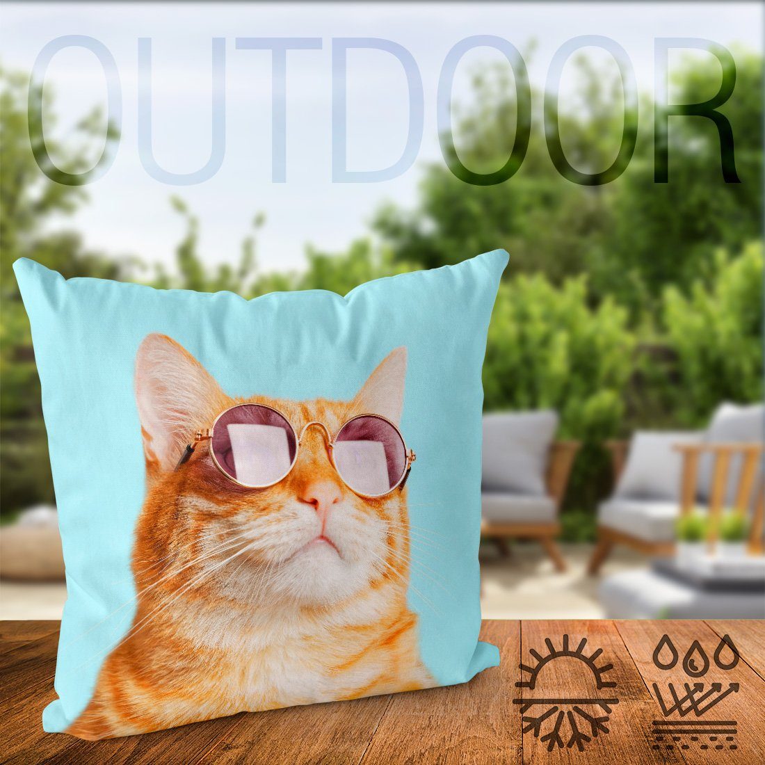 Sonnenschein VOID Rasse Katze Kissenbezug, Spielzeug Pfote Kätzchen (1 Züchten Haustier Sonnenbrille Sommer Sofa-Kissen Tiger Stück),
